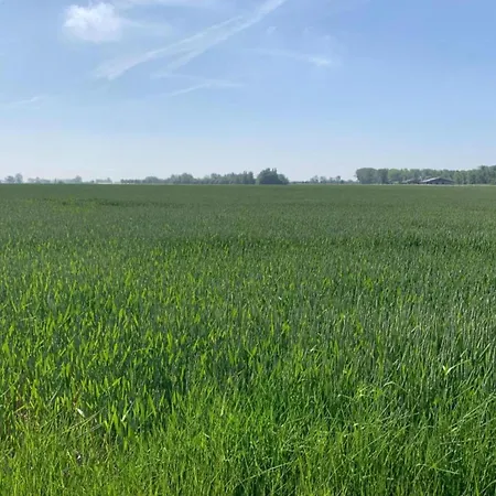 Family דירה ניופורט