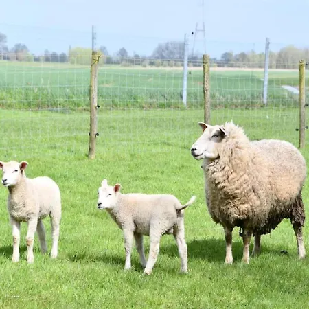 Διαμέρισμα Family