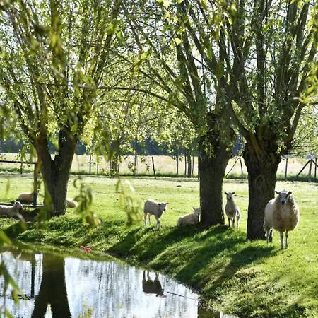 Family Διαμέρισμα Nieuwpoort