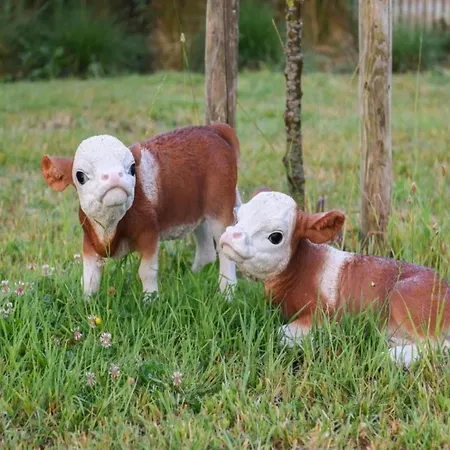 Διαμέρισμα Family